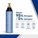 Recarga de botella 5 L 200 bar – Mezcla 95% Nitrógeno / 5% Hidrógeno (Gas Forming)