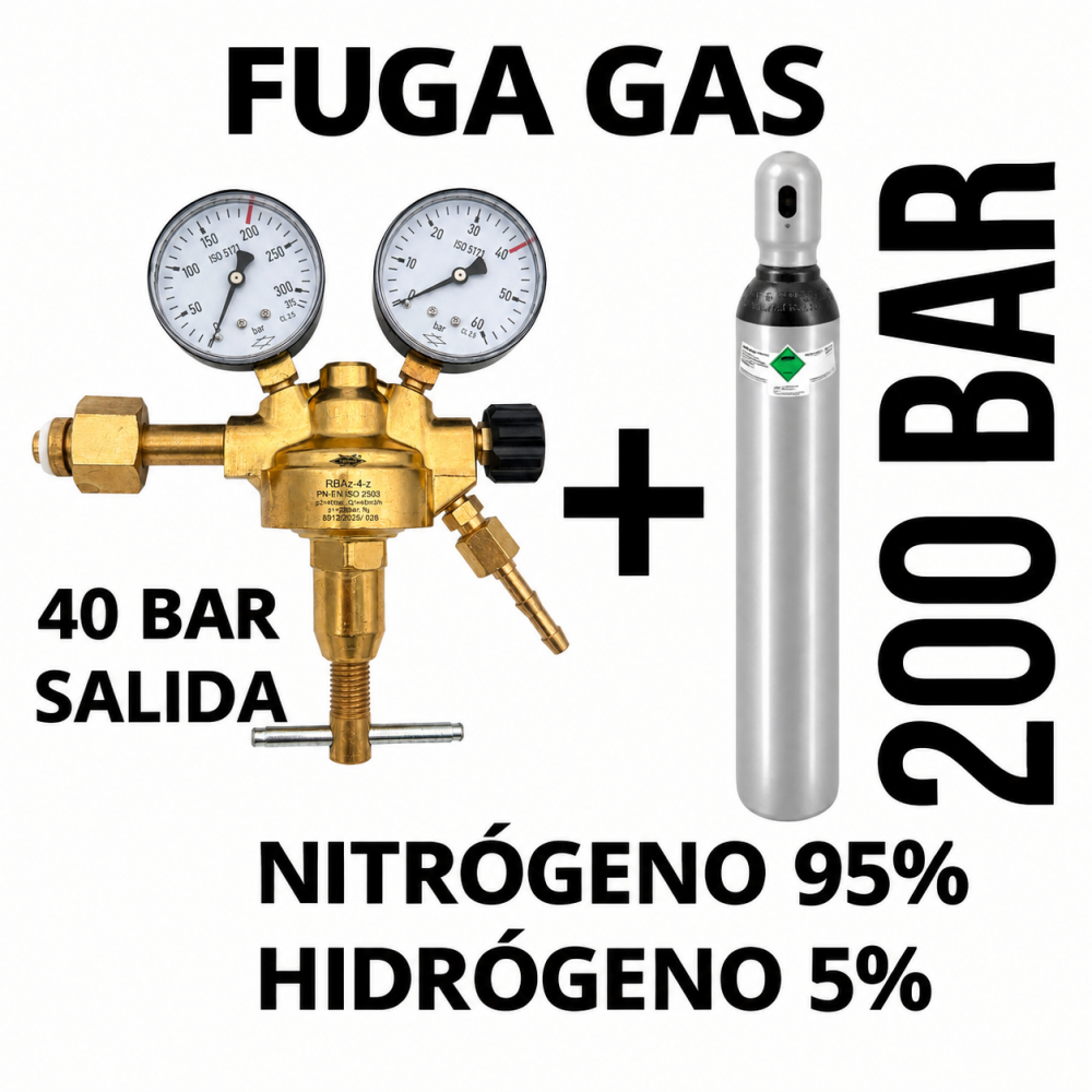 BOTELLA 5% hidrógeno / 95% nitrógeno 8l -200 bar